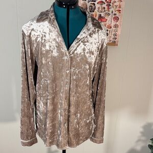 Matty M Crushed Velour Blush Color Button Up Blouse